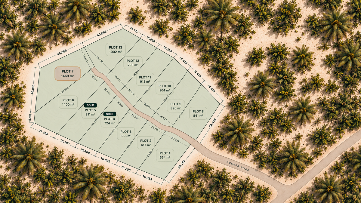 ELYN masterplan